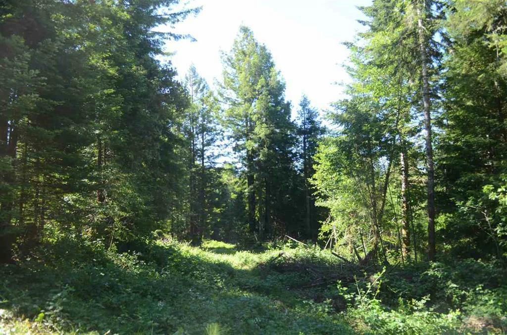 LOT 25 BELL HOLE LOOP, CRESCENT CITY, CA 95531, photo 1 of 2